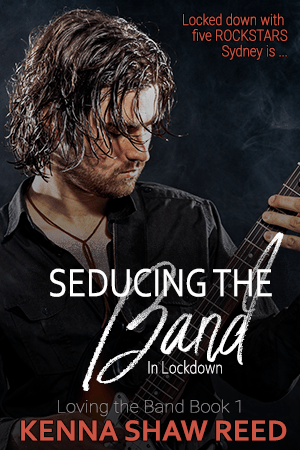 seducing the band - book 1